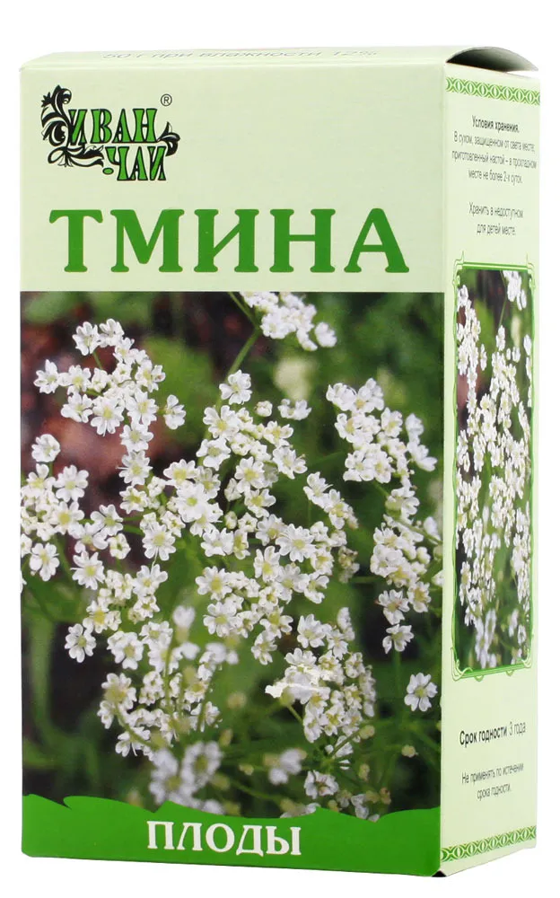 Тмина плоды, лекарственное растительное сырье, 50 г, 1 шт., Иван-Чай