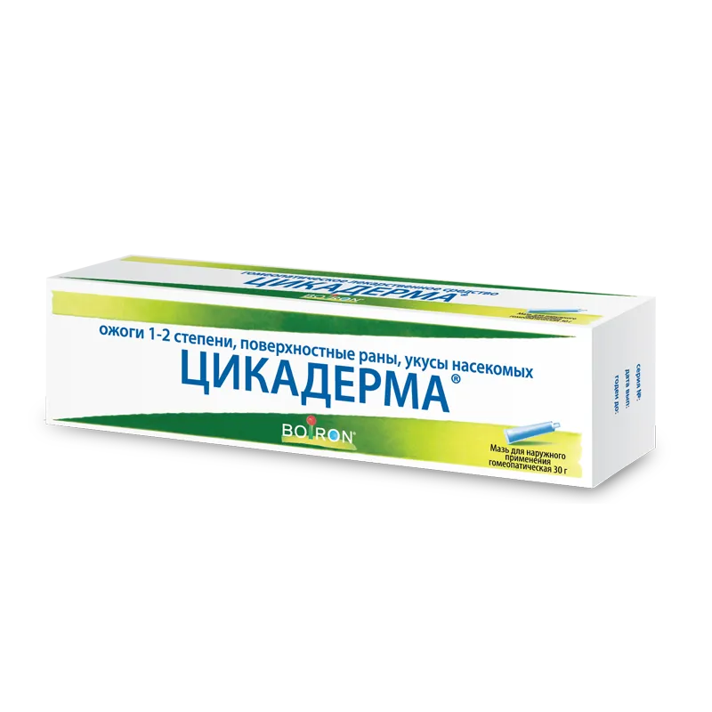 Цикадерма, мазь для наружного применения гомеопатическая, 30 г, 1 шт.