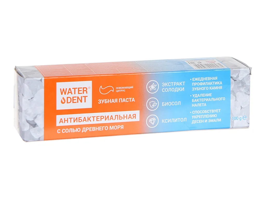 Waterdent Паста зубная антибактериальная, с солью Древнего моря, 100г, 1 шт.